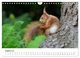 Thumbnail-13