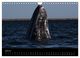 Thumbnail-12