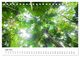 Thumbnail-11