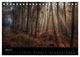 Thumbnail-9