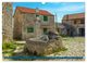 Thumbnail-13