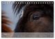 Thumbnail-10