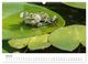 Thumbnail-12