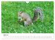 Thumbnail-9