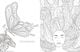 Thumbnail-11