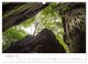 Thumbnail-14