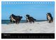 Thumbnail-10