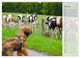 Thumbnail-10