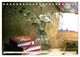 Thumbnail-9