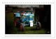 Thumbnail-14