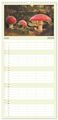 Thumbnail-12