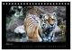 Thumbnail-8