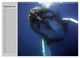 Thumbnail-11