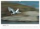 Thumbnail-11