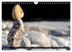 Thumbnail-12