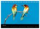 Thumbnail-8