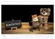 Thumbnail-8