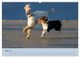 Thumbnail-9