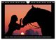 Thumbnail-12