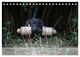 Thumbnail-12