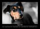 Thumbnail-12