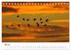 Thumbnail-10