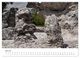 Thumbnail-12