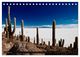 Thumbnail-14