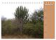 Thumbnail-11