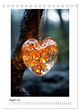 Thumbnail-13