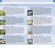 Thumbnail-8