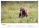 Thumbnail-10