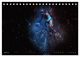 Thumbnail-9