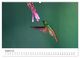 Thumbnail-13