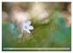 Thumbnail-10