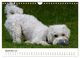 Thumbnail-14