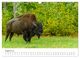 Thumbnail-10