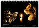 Thumbnail-14