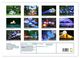 Thumbnail-12