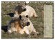 Thumbnail-12