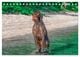 Thumbnail-10