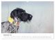 Thumbnail-14