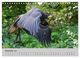 Thumbnail-14