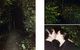 Thumbnail-9