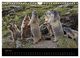 Thumbnail-9