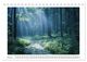 Thumbnail-8