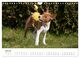 Thumbnail-9
