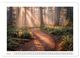 Thumbnail-8