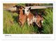Thumbnail-12