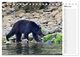 Thumbnail-8